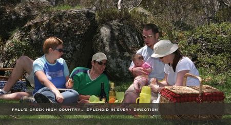 Alpine View Apartments - Accommodation Australia 2