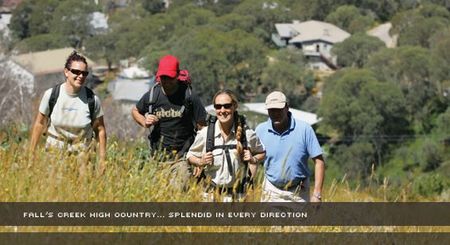 Alpine View Apartments - Accommodation Australia 3