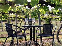 De Vine Escape - Accommodation Australia 2