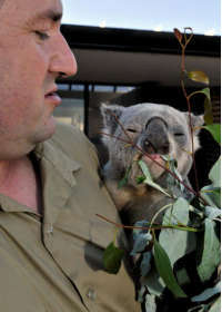 Consise By Moonlight Head Private Lodges - Accommodation Australia 5