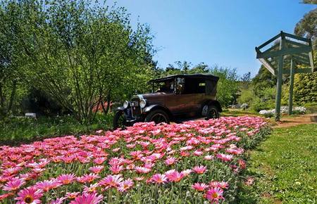 Brilynbrook Country Accommodation - Accommodation Australia 5
