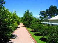 Creaton Cottage - Local Tourism 5