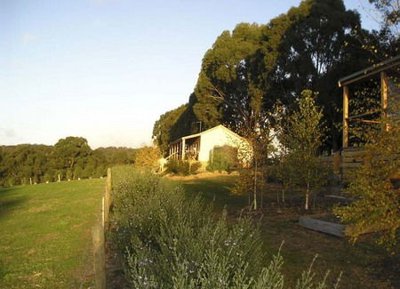 Birchwood Retreat Country Cottages - Accommodation Australia 3
