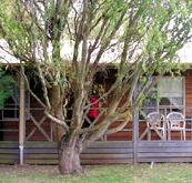 BIG4 Ballarat Windmill Holiday Park - Accommodation Australia