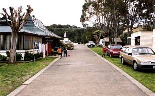 North Arm Tourist Park - Accommodation Australia 3