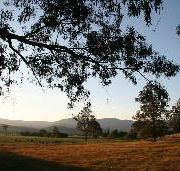Cann River Rainforest Caravan Park - Accommodation Australia