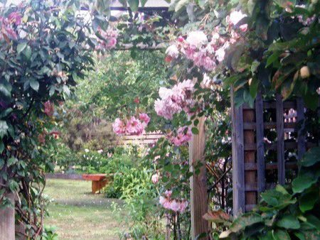 Hudspeth House Bed And Breakfast - Accommodation Australia 2