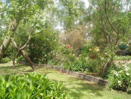 Hudspeth House Bed And Breakfast - Accommodation Australia 5