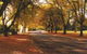 La Trobe At Beechworth - thumb 0