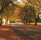 La Trobe at Beechworth - Local Tourism