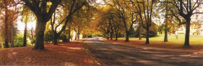 La Trobe At Beechworth - Accommodation Australia 0