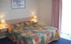 Black Swan Motor Inn - thumb 4