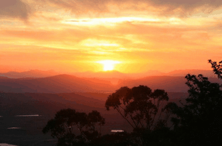 Avocado Sunset - Accommodation Australia
