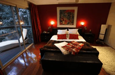 Songbirds Rainforest Retreat - Local Tourism 4