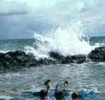 Bargara Beach Motor Inn - Local Tourism