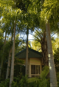 BIG4 Tropical Wanderer Resort - Local Tourism