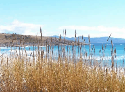 White Sands Estate - Local Tourism