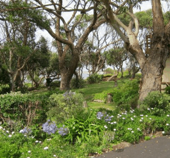 Anchlia Waterfront Cottage - Local Tourism 2