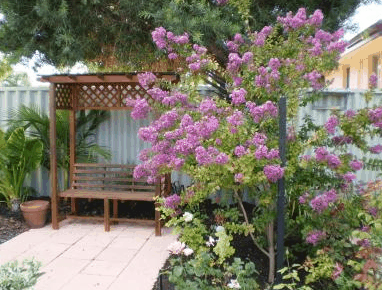 Baudins Of Busselton - Local Tourism 2