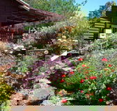 Chestnut Brook Cottage - Accommodation Australia