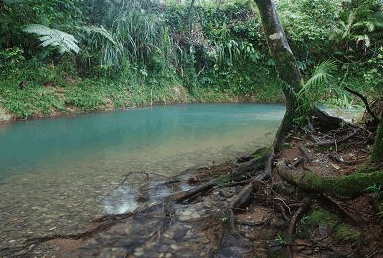Diwan QLD Accommodation Australia