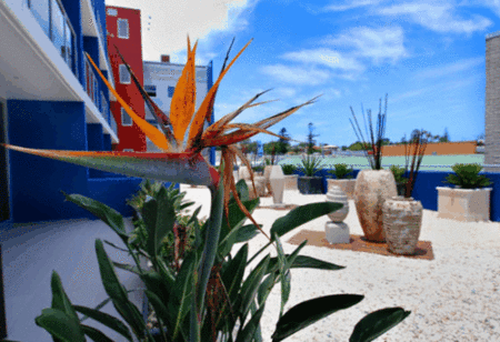 Mantra Quayside - Accommodation Australia 4
