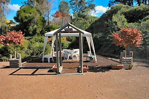 Ascot Holiday House - Local Tourism 1