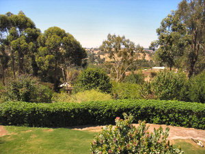 Ascot Holiday House - Local Tourism 2