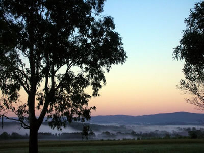 Bluebush Estate - Bed n Breakfasts 0