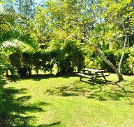 Wooli Caravan Park - Accommodation Australia