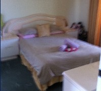 Lake Illawarra Bed & Breakfast - Local Tourism 2