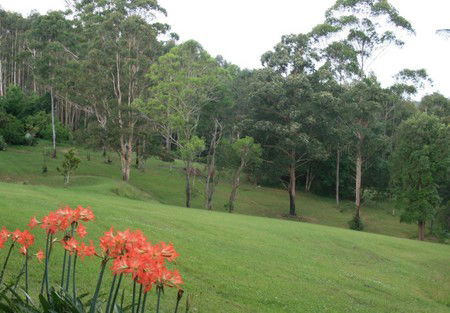 Woodridge Park Country Retreat - Local Tourism 3
