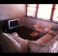 Star Hotel Wauchope - Accommodation Australia 4