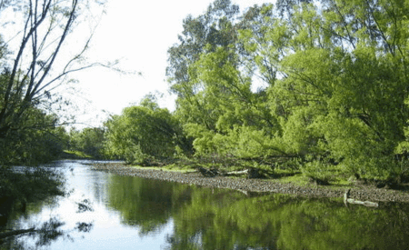 Ribbonwood Cottages - Local Tourism