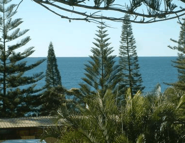 Next Seabreeze Beach Hotel - Accommodation Australia 2