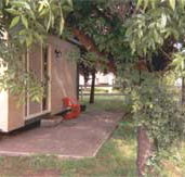 Carinya Cabins  Caravan Park - Accommodation Australia