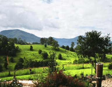 Nimbin Rox YHA - Local Tourism 1