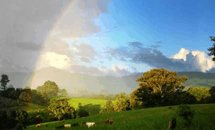 Nimbin Rox YHA - Local Tourism 3