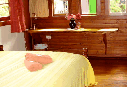 Nimbin Holiday Accommodation & Guest House - Australia Shopping 5