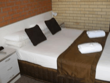 Bondi Motel - Local Tourism 3