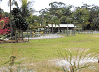 Minnie Water Holiday Park - Local Tourism 5