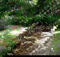 Coco's Country Cottage - Accommodation Australia