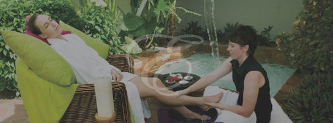 Peppers Spa - Palm Cove - Local Tourism 3
