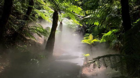 Australian National Botanic Gardens - Accommodation Australia 4