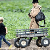 Perth City Farm Organic Markets - Local Tourism
