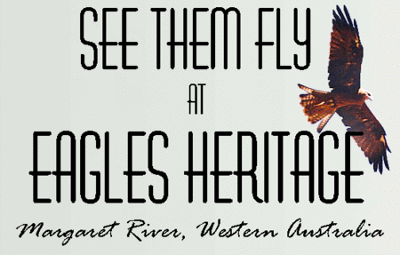 Eagles Heritage Raptor Wildlife Centre - Local Tourism