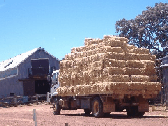 Avondale Discovery Farm - Accommodation Australia 1