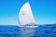  Local Tourism