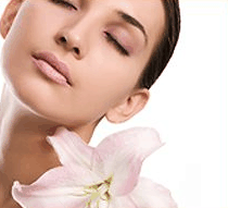 Stephanies Spa Retreat - Local Tourism