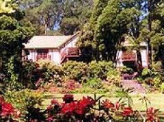  Local Tourism